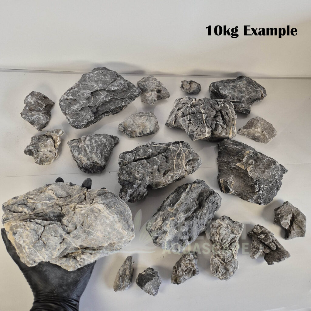 10kg Example of Natural Seiryu Stone for Aquascaping