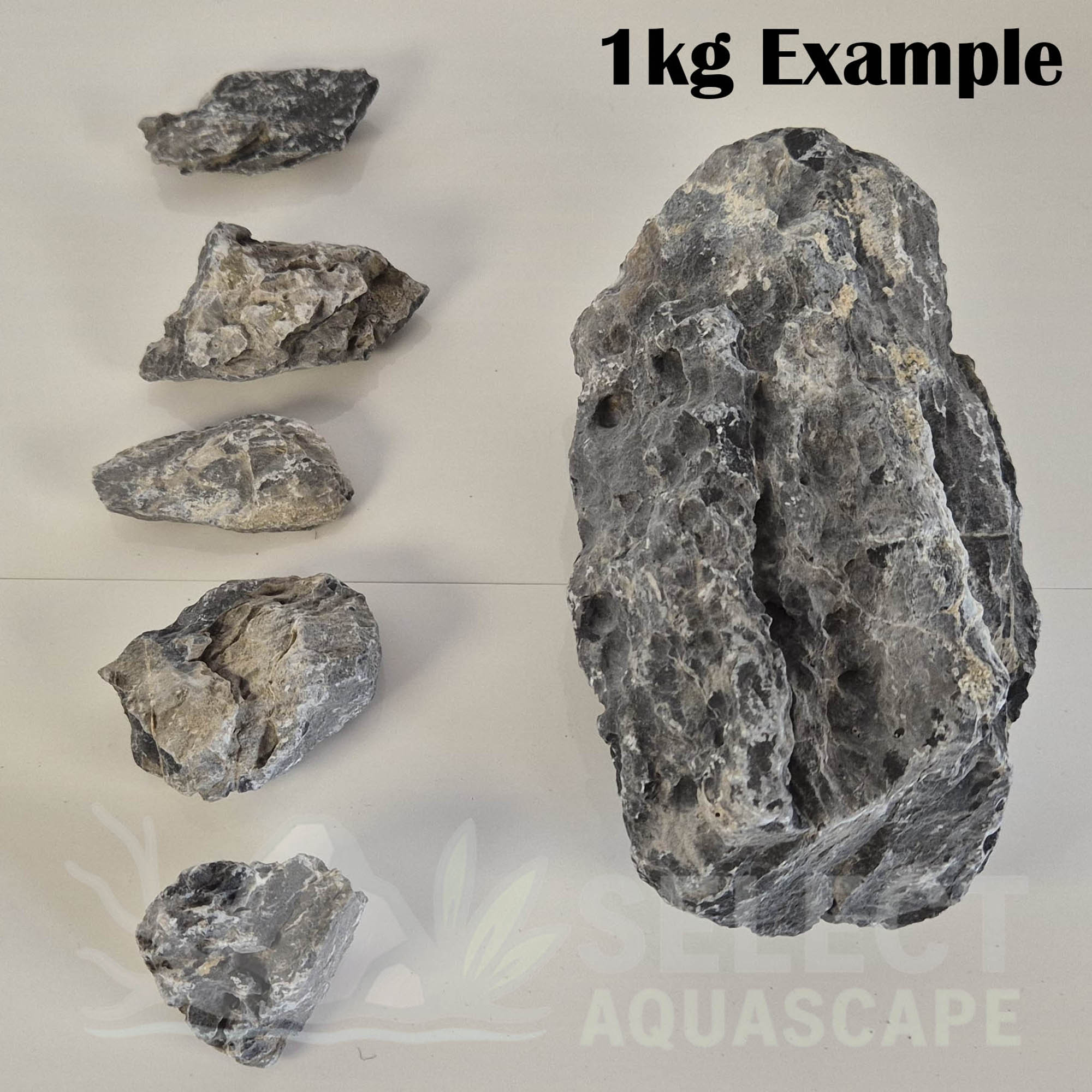 1kg Example of Natural Seiryu Stone for Aquascaping