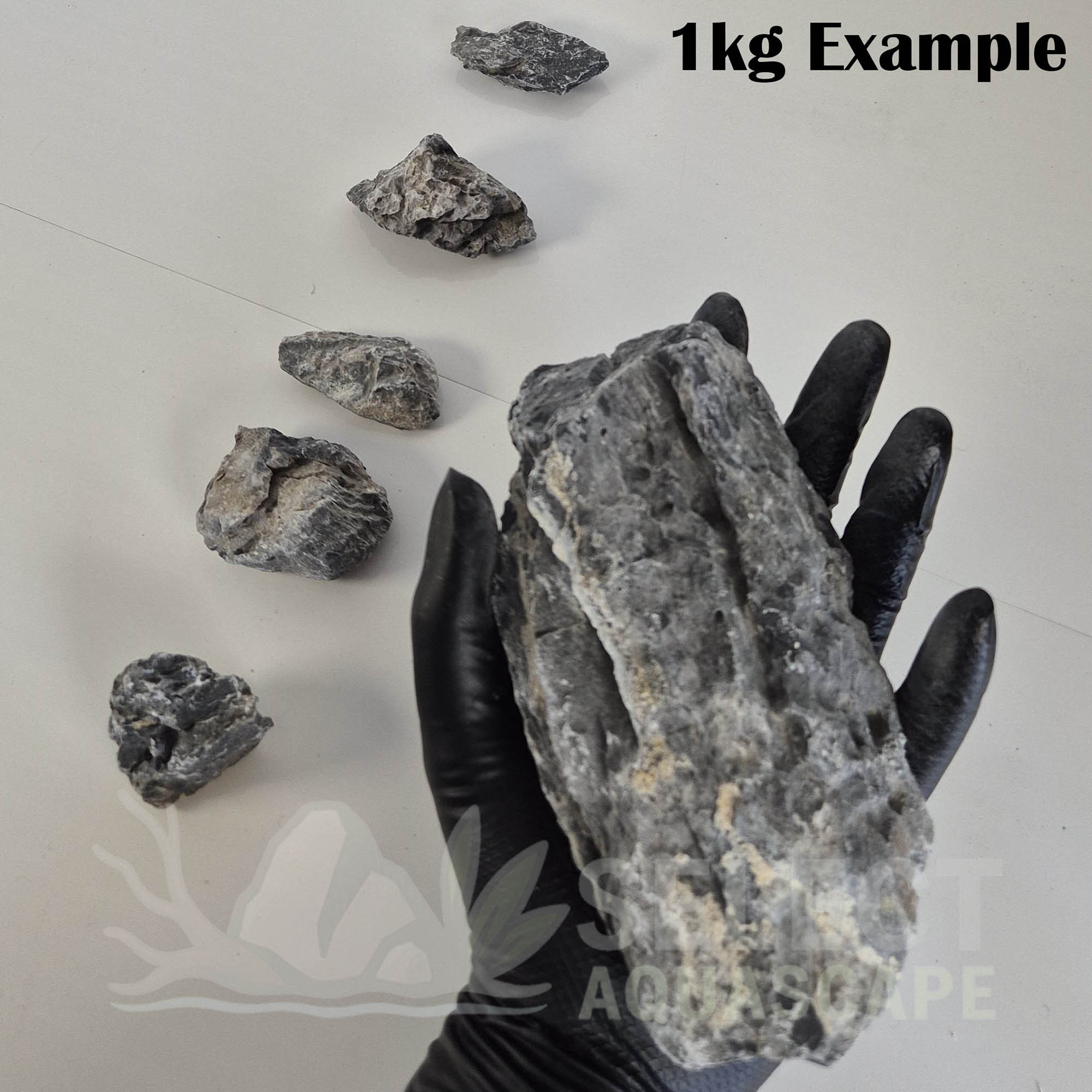 1kg Example of Natural Seiryu Stone for Aquascaping