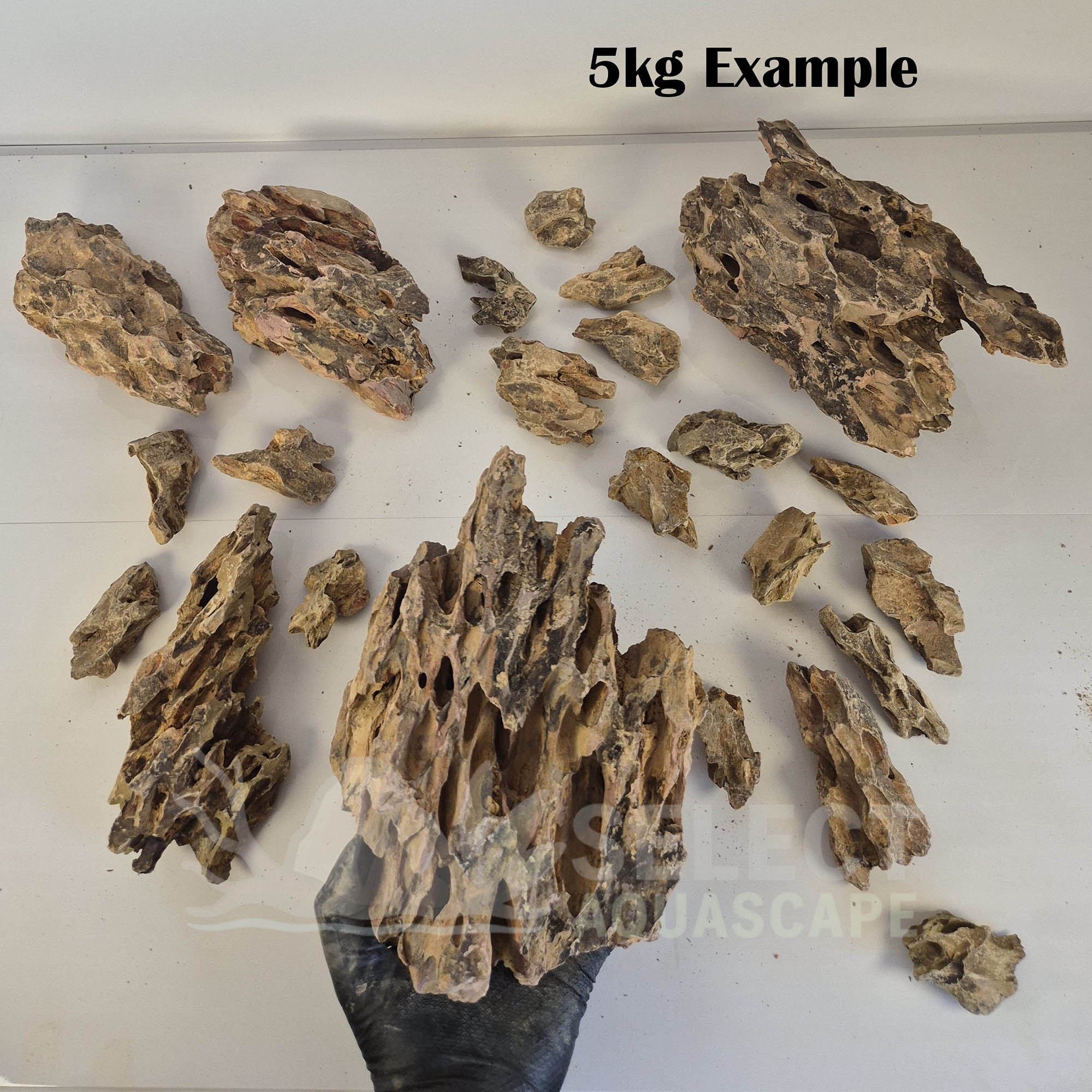 5kg Example of Natural Dragon Stone for Aquascaping
