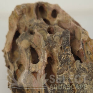 Detail Example of Natural Dragon Stone for Aquascaping