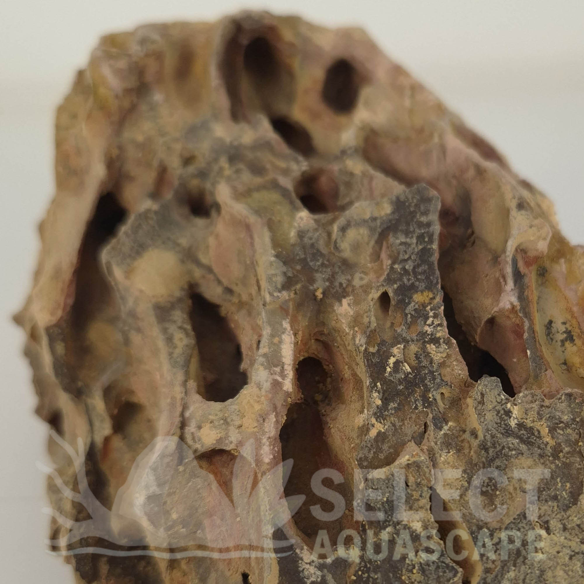 Detail Example of Natural Dragon Stone for Aquascaping