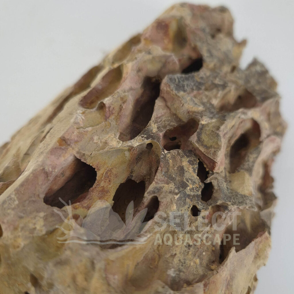 Detail Example of Natural Dragon Stone for Aquascaping