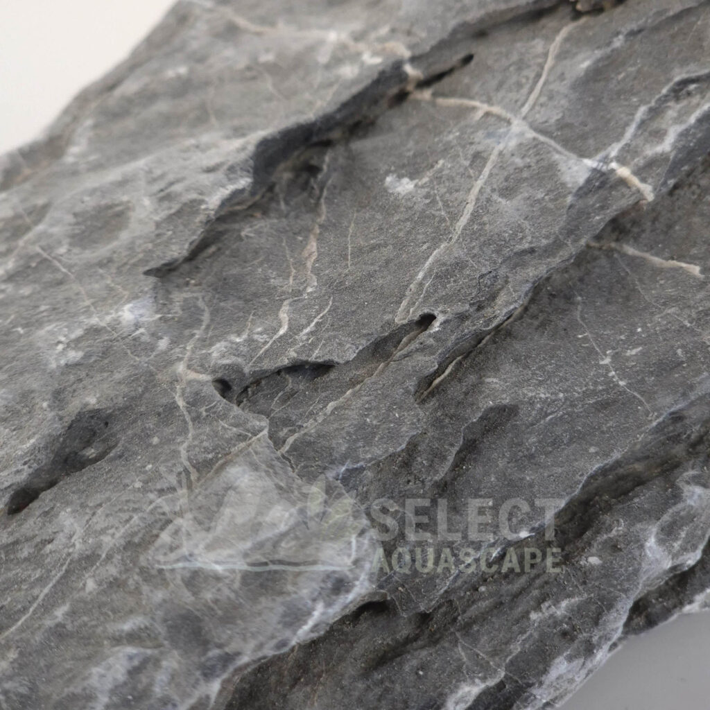 Detailed Example of Natural Seiryu Stone for Aquascaping