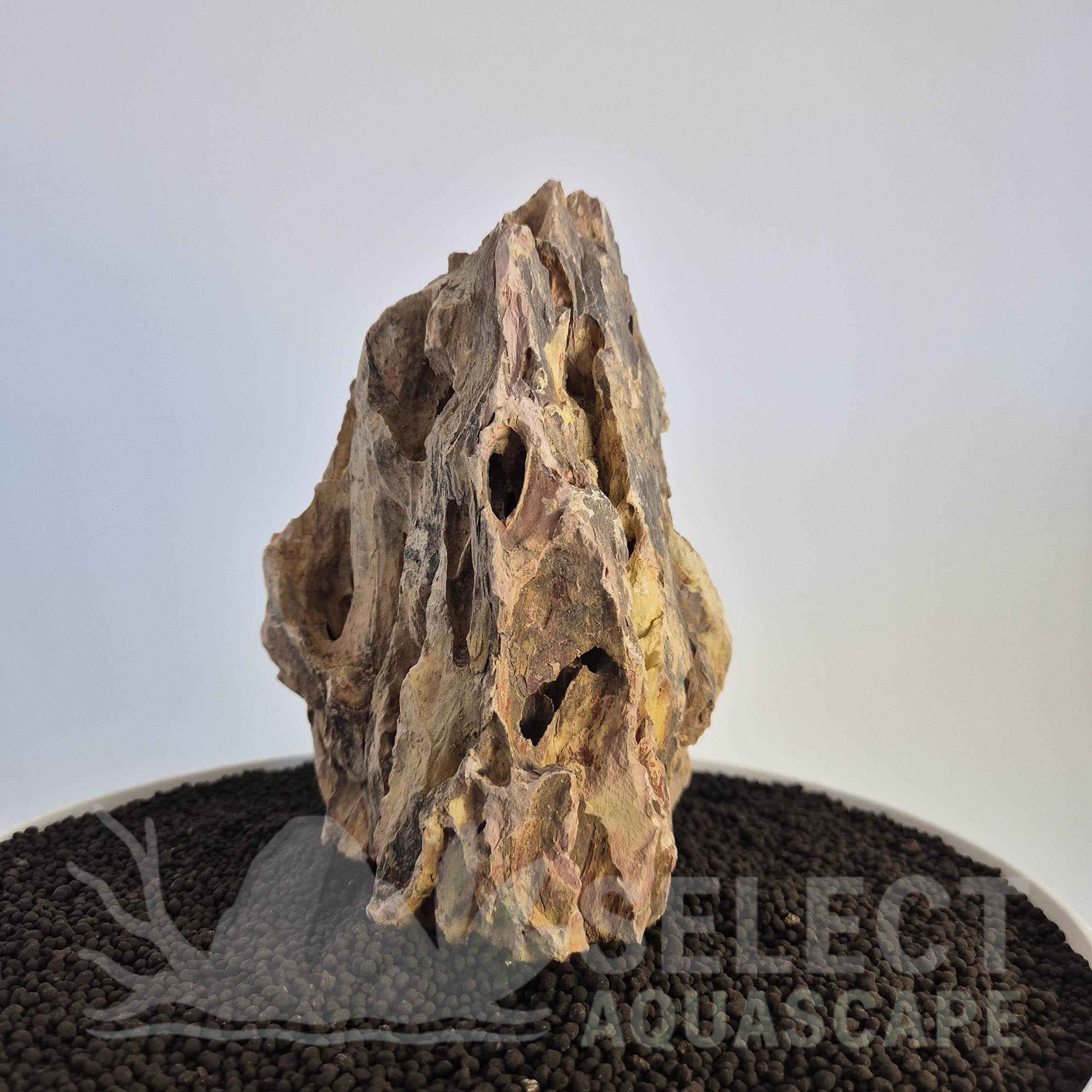 Select Piece of Natural Dragon Stone for Aquascape