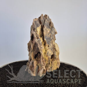 Select Piece of Natural Dragon Stone for Aquascape