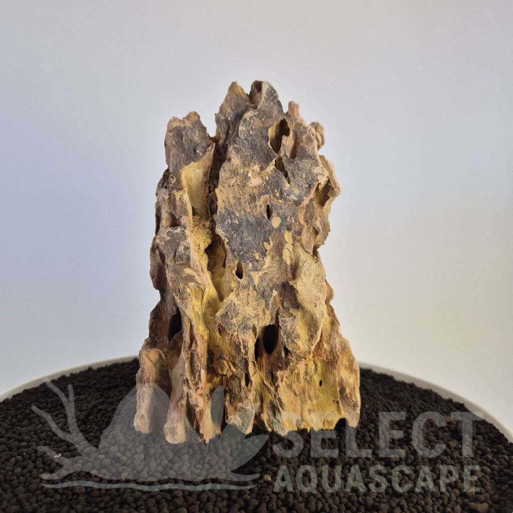 Select Piece of Natural Dragon Stone for Aquascape