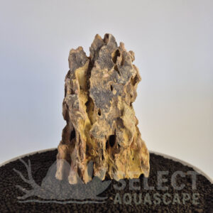 Select Piece of Natural Dragon Stone for Aquascape