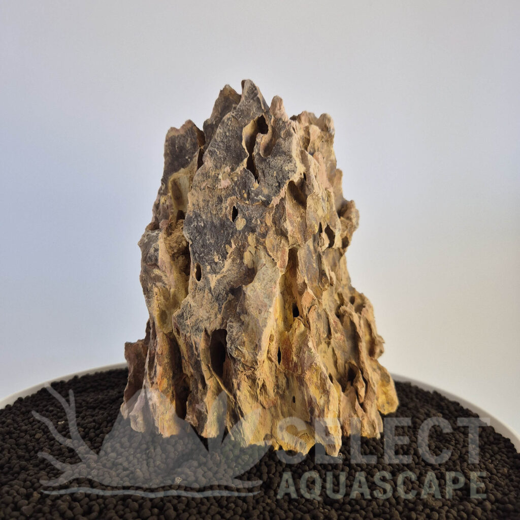 Select Piece of Natural Dragon Stone for Aquascape