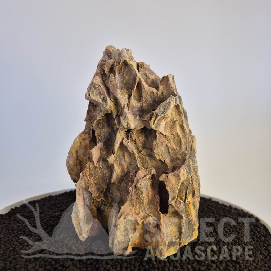 Select Piece of Natural Dragon Stone for Aquascape