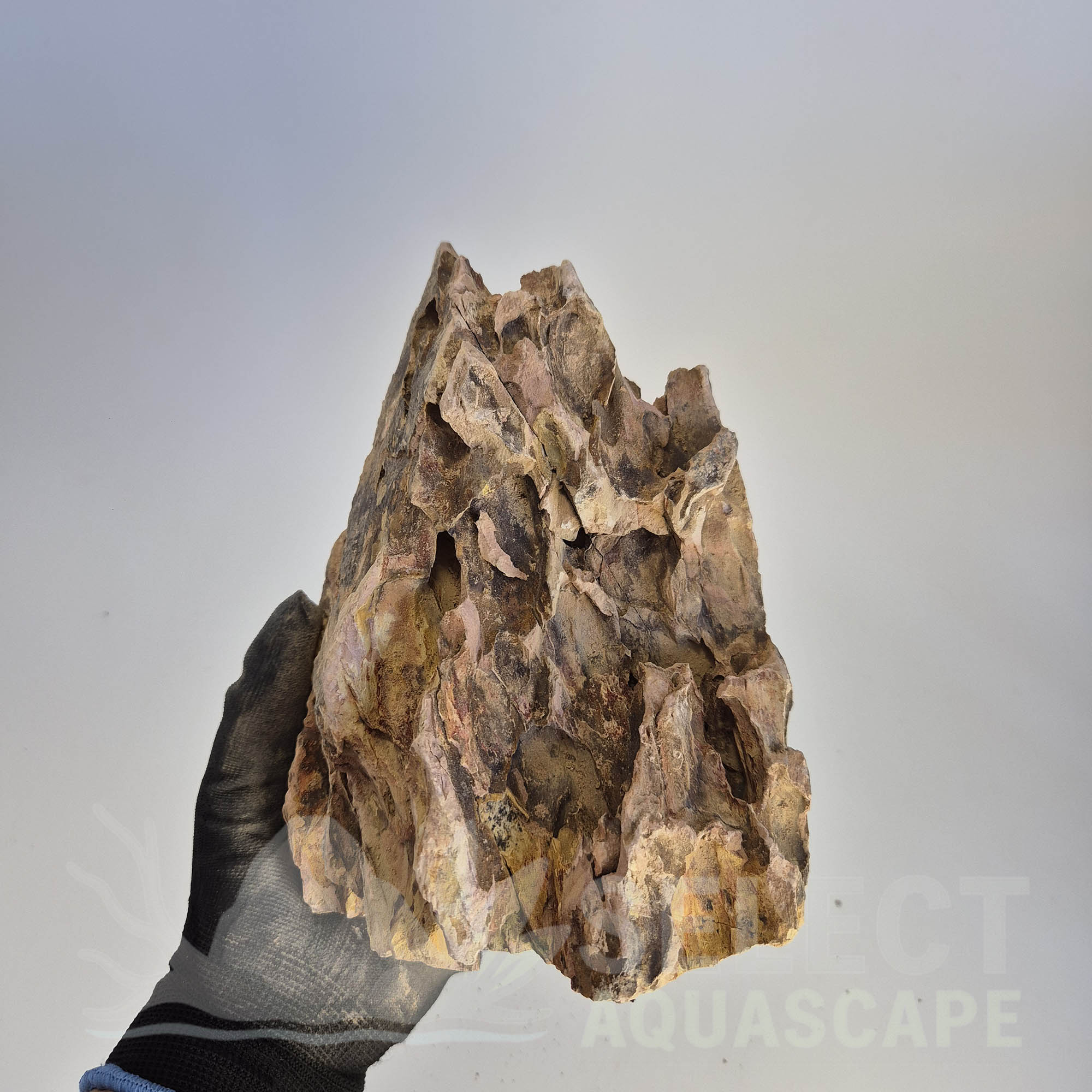 Select Piece of Natural Dragon Stone for Aquascape