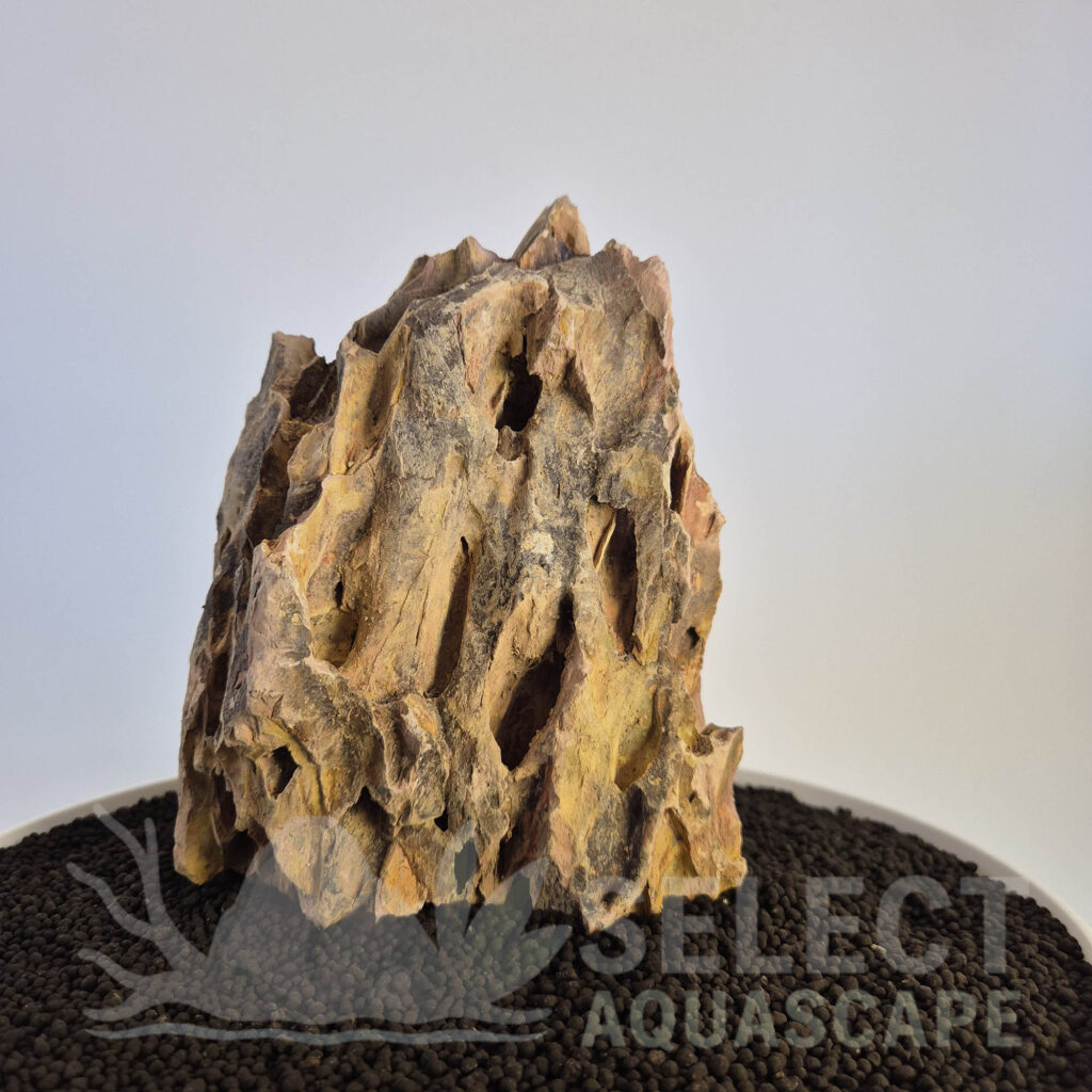 Select Piece of Natural Dragon Stone for Aquascape