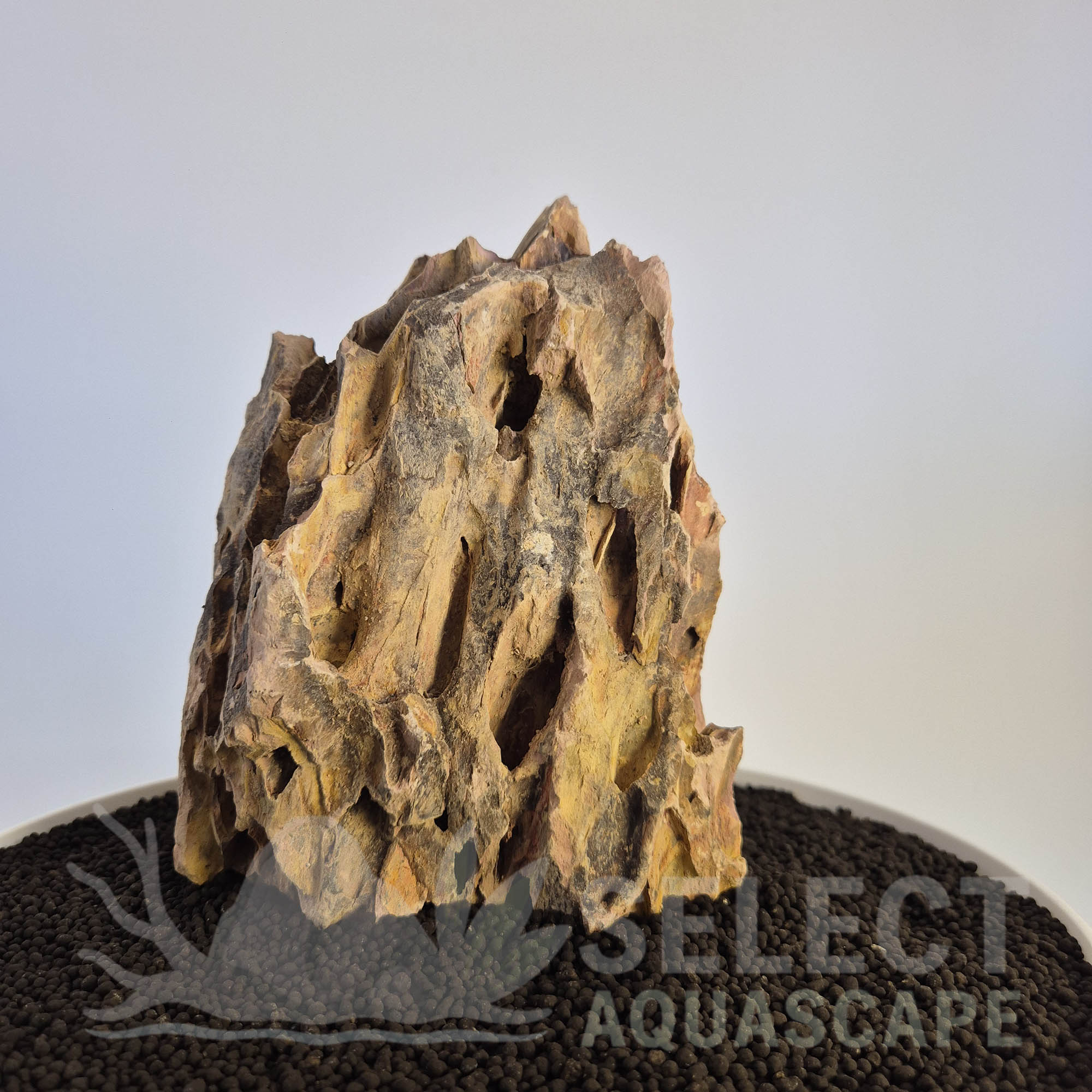 Select Piece of Natural Dragon Stone for Aquascape