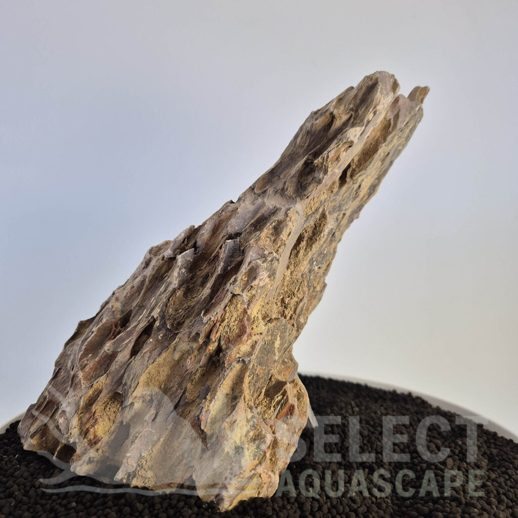 Select Piece of Natural Dragon Stone for Aquascape
