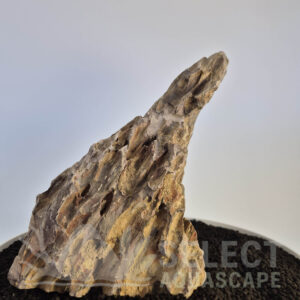 Select Piece of Natural Dragon Stone for Aquascape