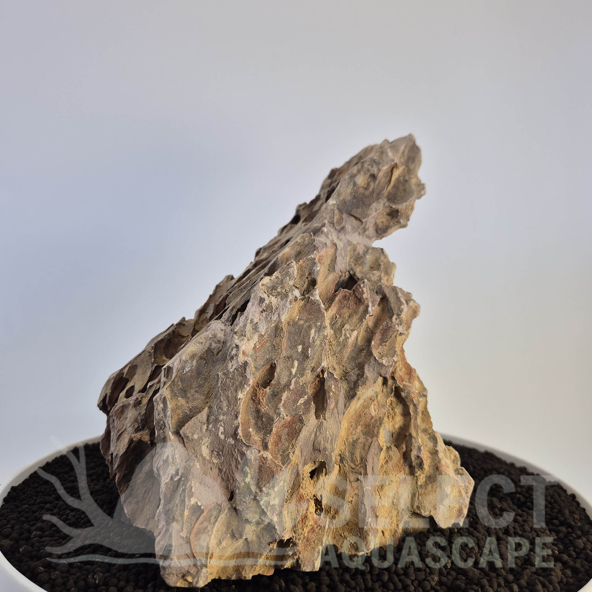 Select Piece of Natural Dragon Stone for Aquascape