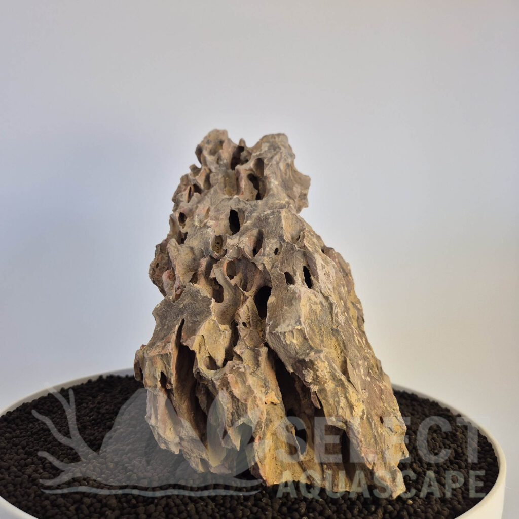 Select Piece of Natural Dragon Stone for Aquascape