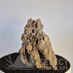 Select Piece of Natural Dragon Stone for Aquascape