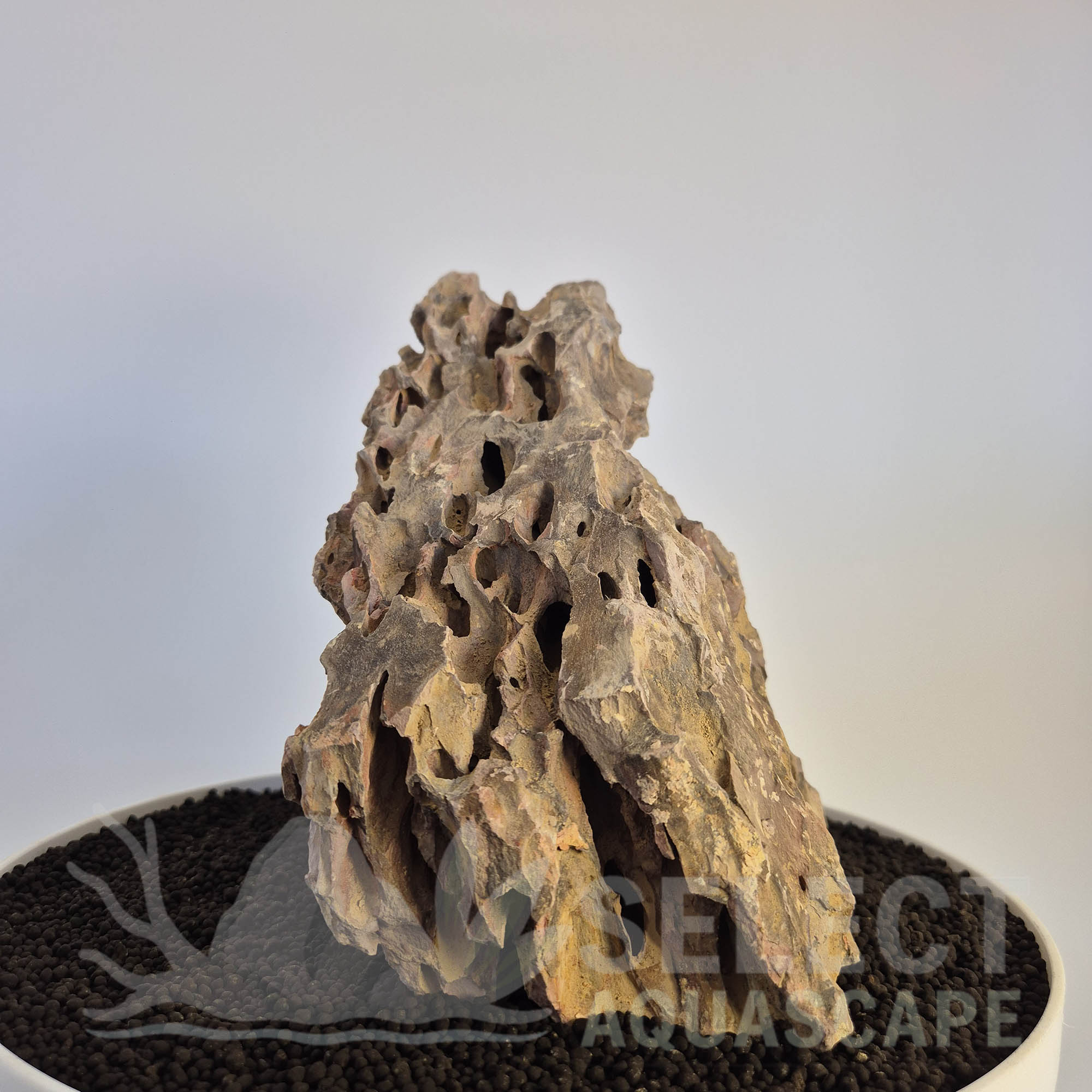 Select Piece of Natural Dragon Stone for Aquascape