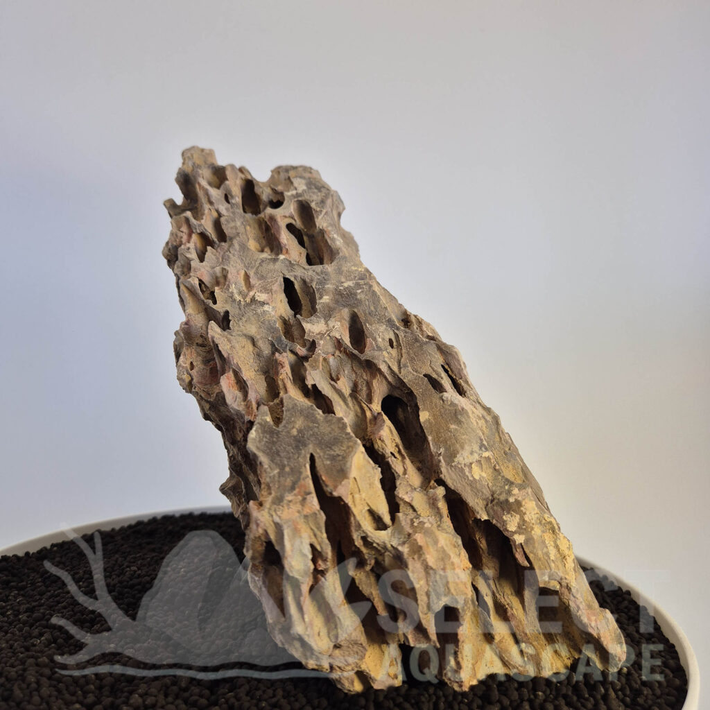 Select Piece of Natural Dragon Stone for Aquascape