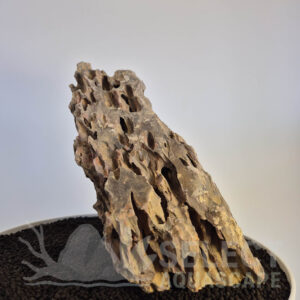 Select Piece of Natural Dragon Stone for Aquascape