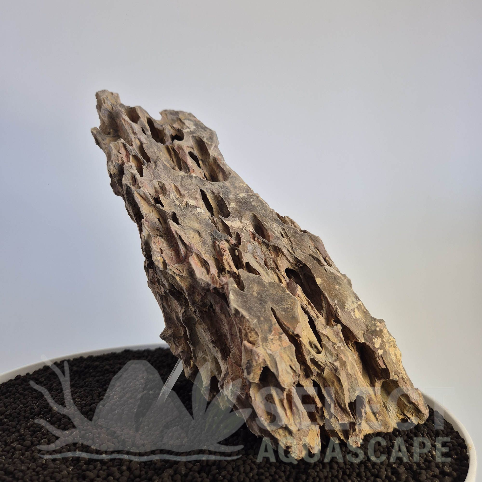 Select Piece of Natural Dragon Stone for Aquascape