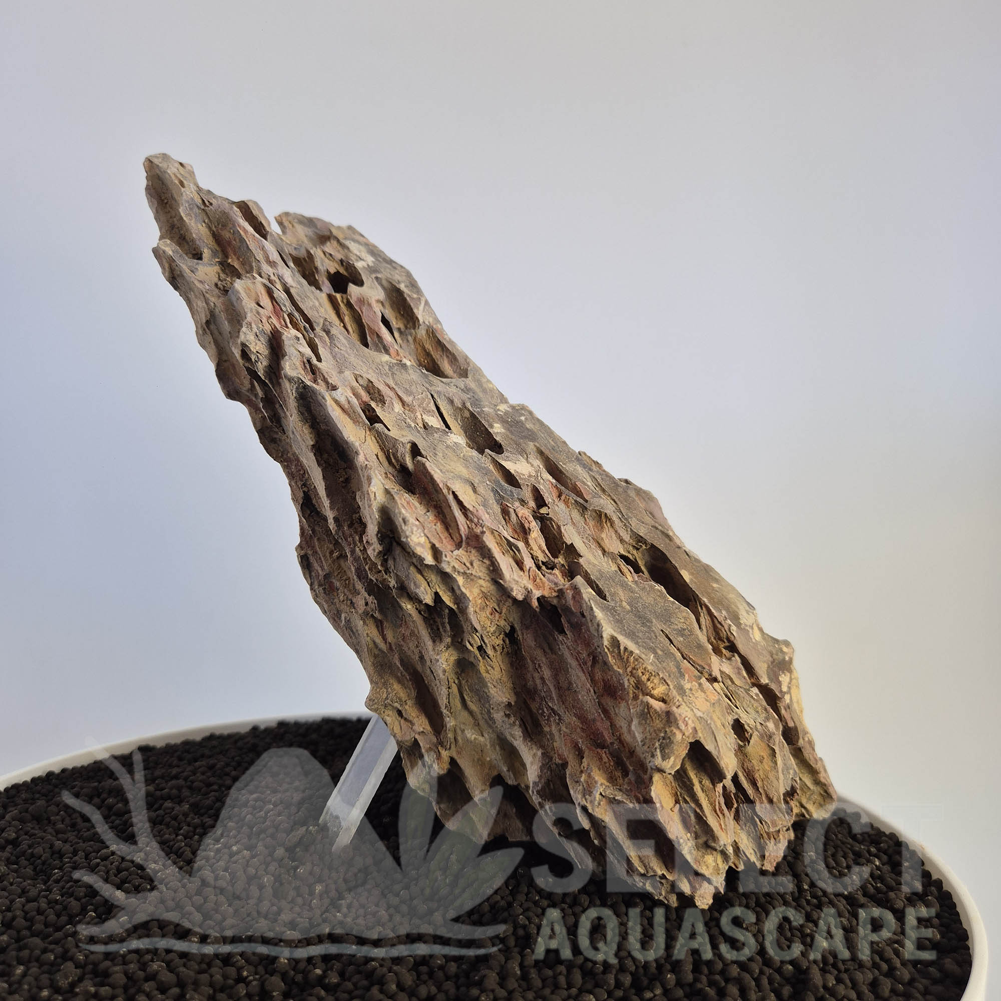Select Piece of Natural Dragon Stone for Aquascape