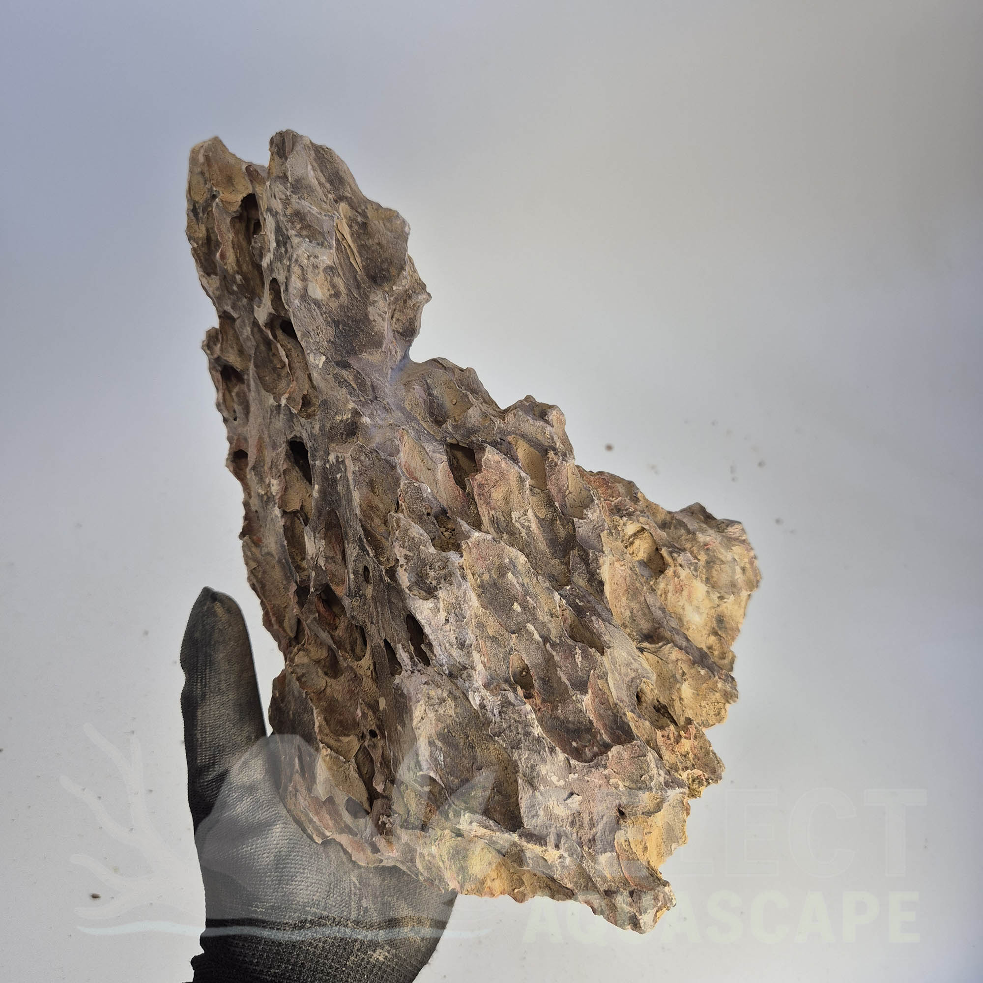 Select Piece of Natural Dragon Stone for Aquascape