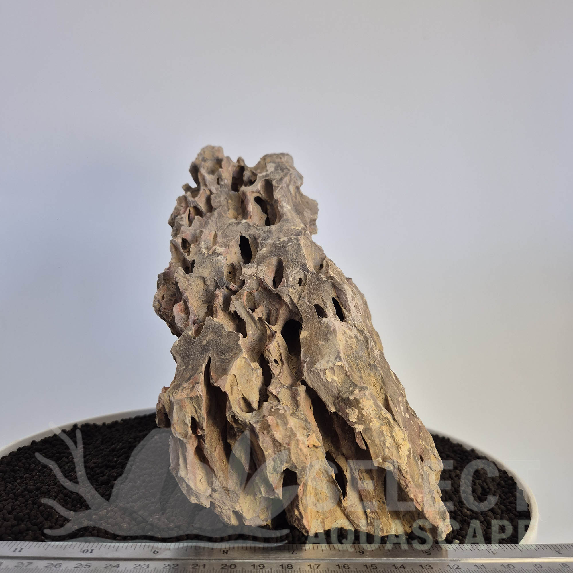 Select Piece of Natural Dragon Stone for Aquascape