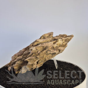 Select Piece of Natural Dragon Stone for Aquascape