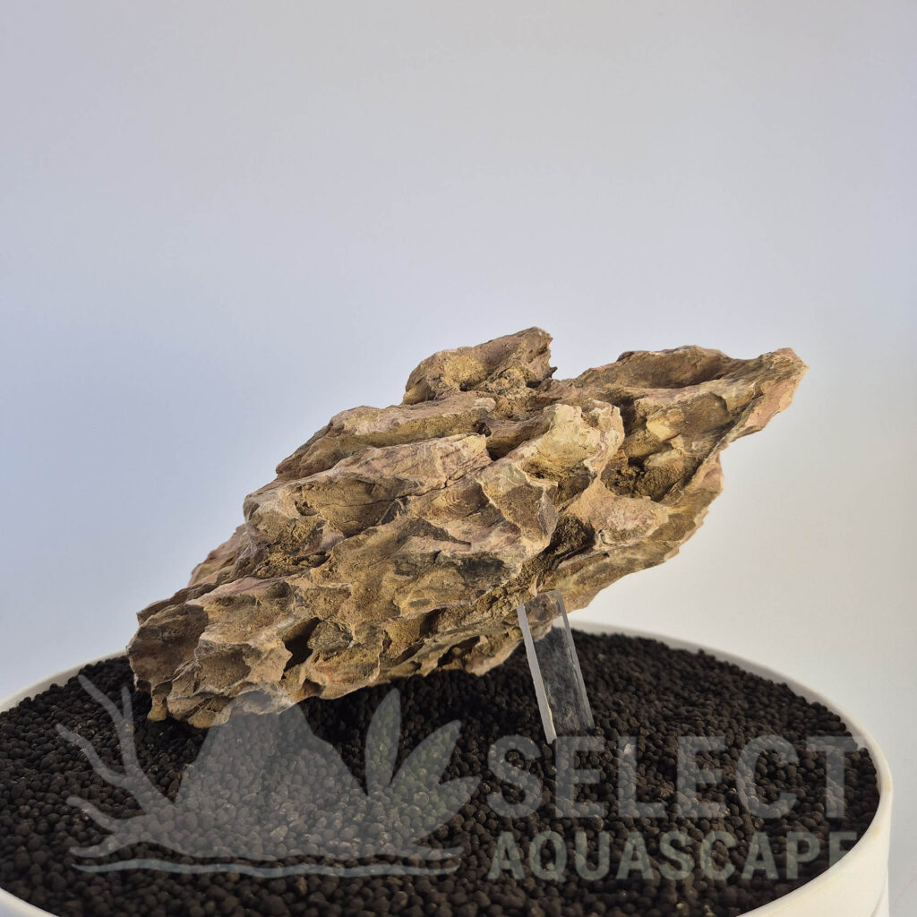 Select Piece of Natural Dragon Stone for Aquascape