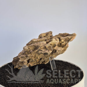 Select Piece of Natural Dragon Stone for Aquascape