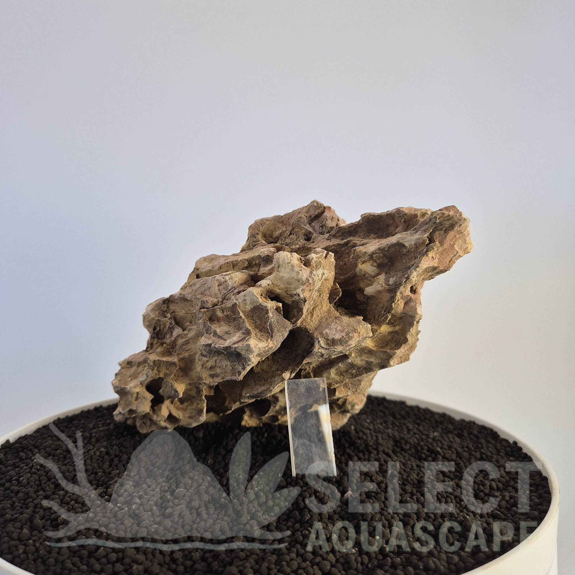 Select Piece of Natural Dragon Stone for Aquascape