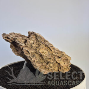 Select Piece of Natural Dragon Stone for Aquascape