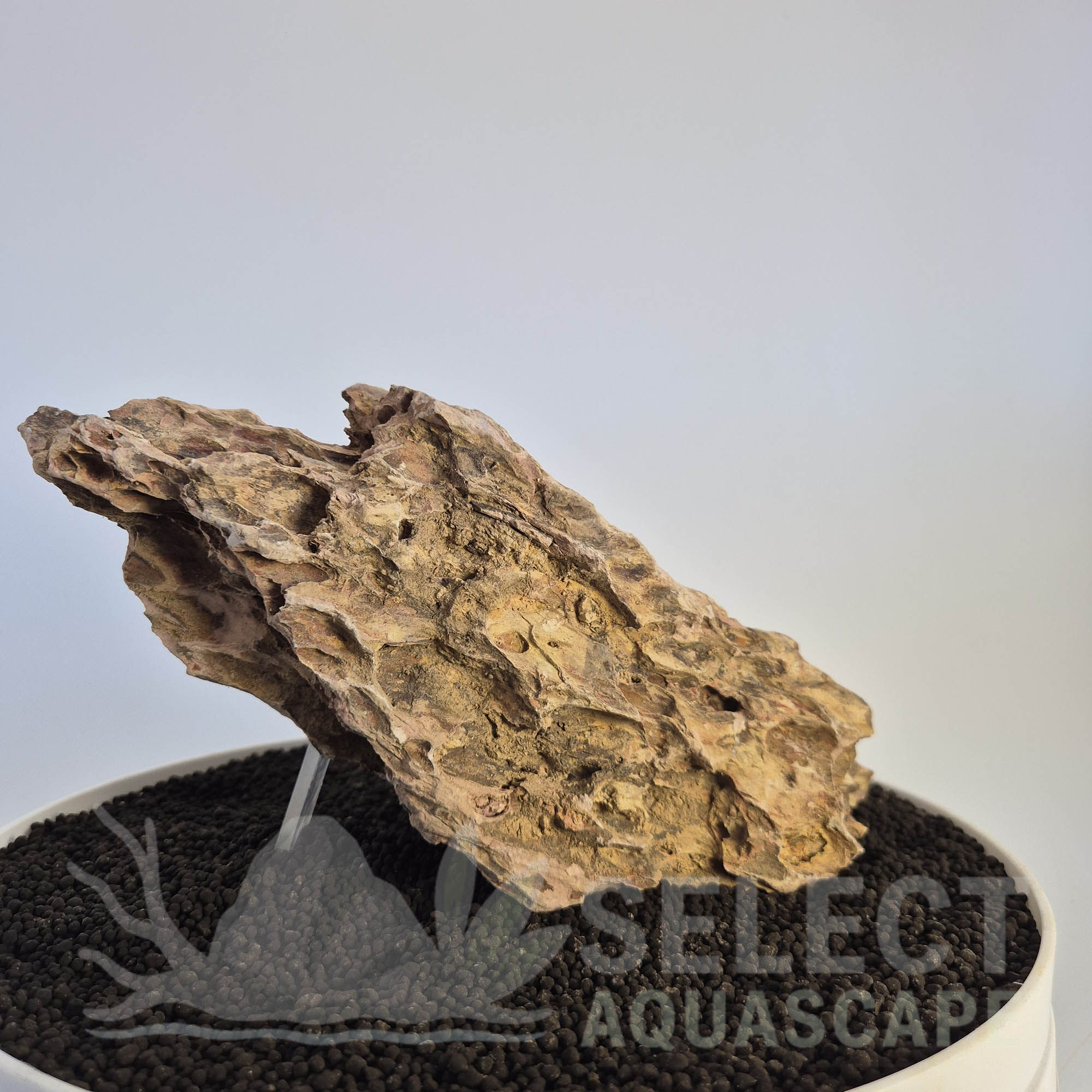 Select Piece of Natural Dragon Stone for Aquascape