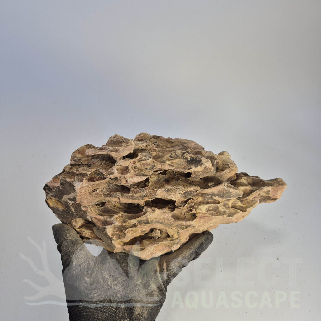 Select Piece of Natural Dragon Stone for Aquascape
