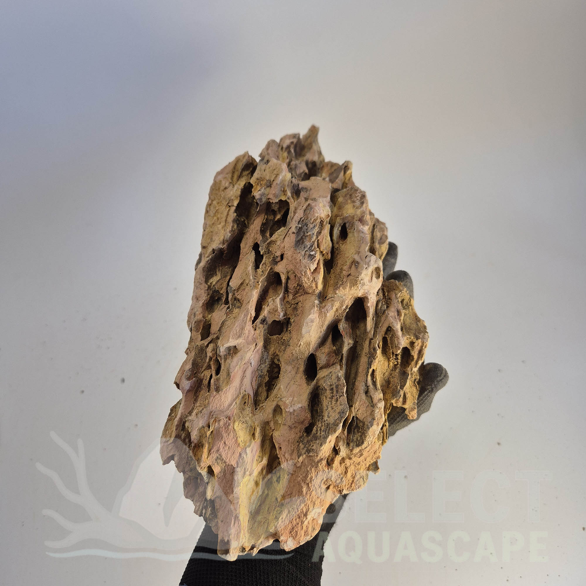 Select Piece of Natural Dragon Stone for Aquascape