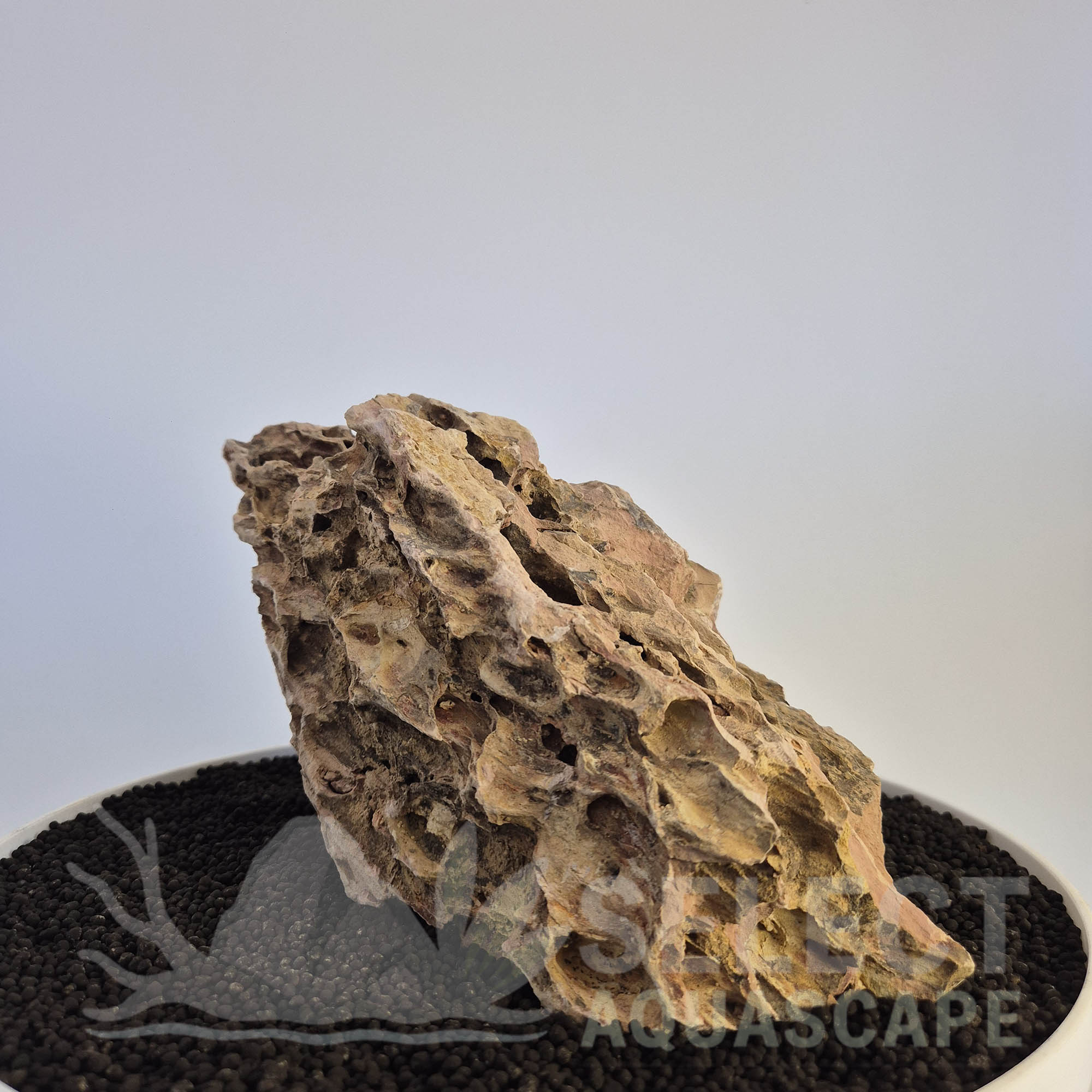 Select Piece of Natural Dragon Stone for Aquascape