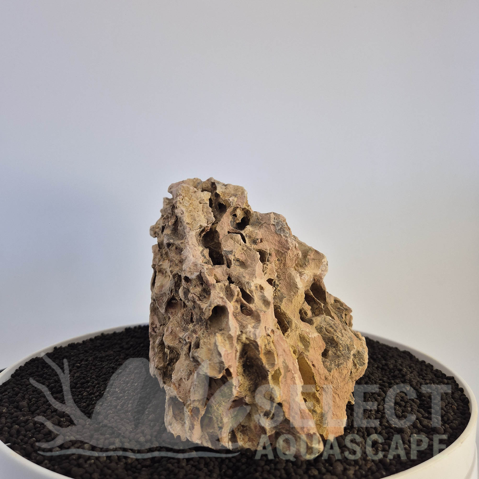 Select Piece of Natural Dragon Stone for Aquascape