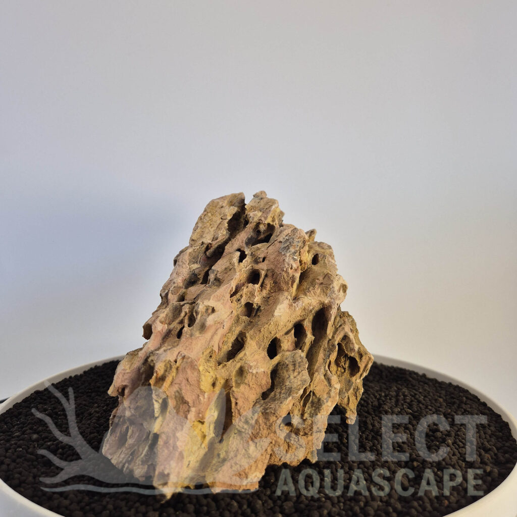 Select Piece of Natural Dragon Stone for Aquascape