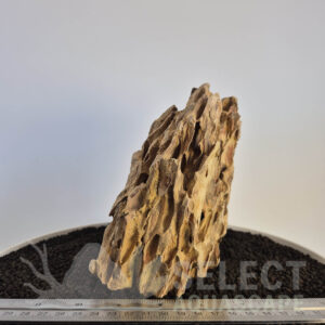 Select Piece of Natural Dragon Stone for Aquascape