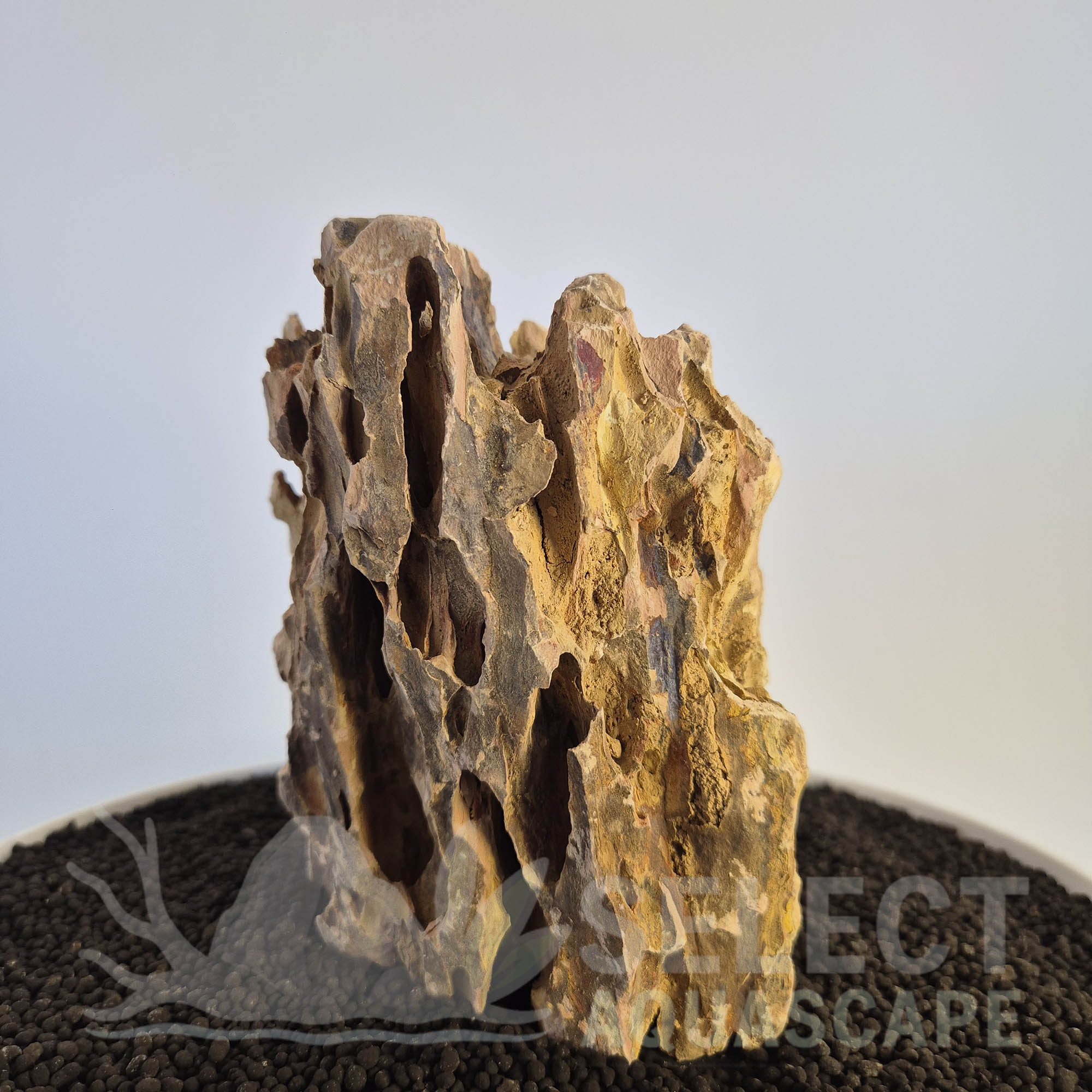 Select Piece of Natural Dragon Stone for Aquascape