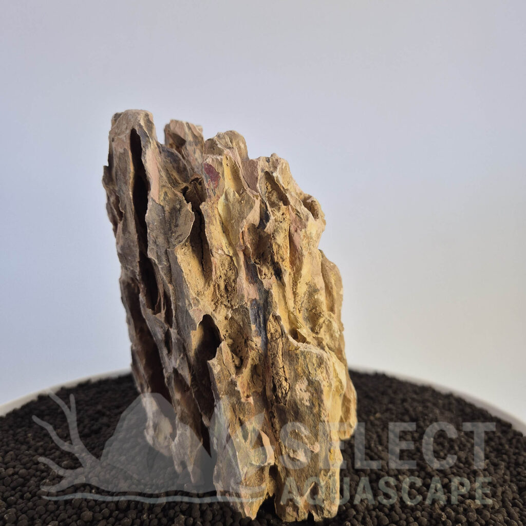 Select Piece of Natural Dragon Stone for Aquascape