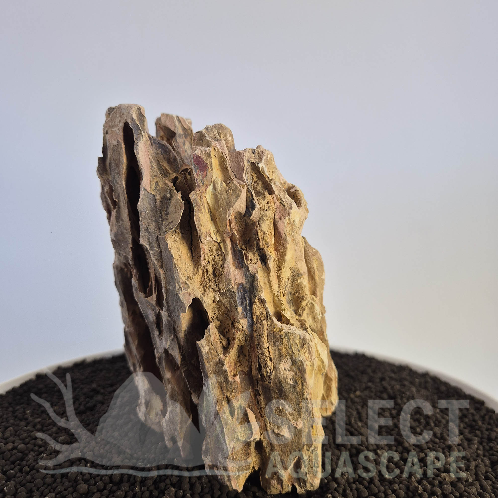 Select Piece of Natural Dragon Stone for Aquascape