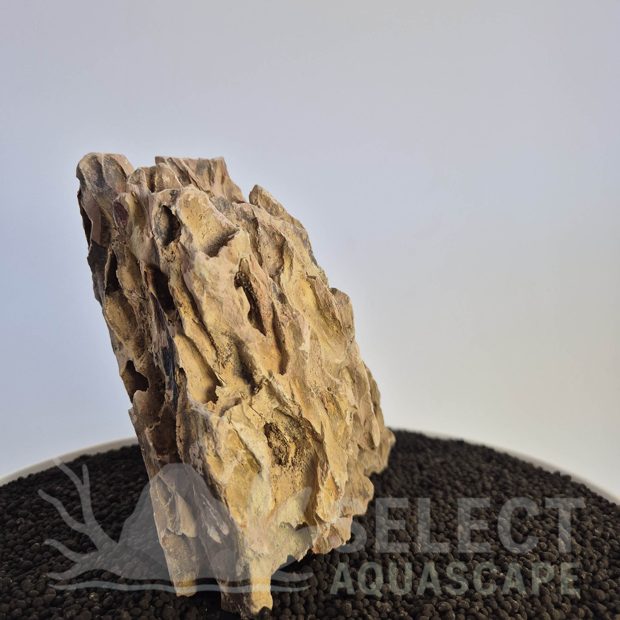 Select Piece of Natural Dragon Stone for Aquascape
