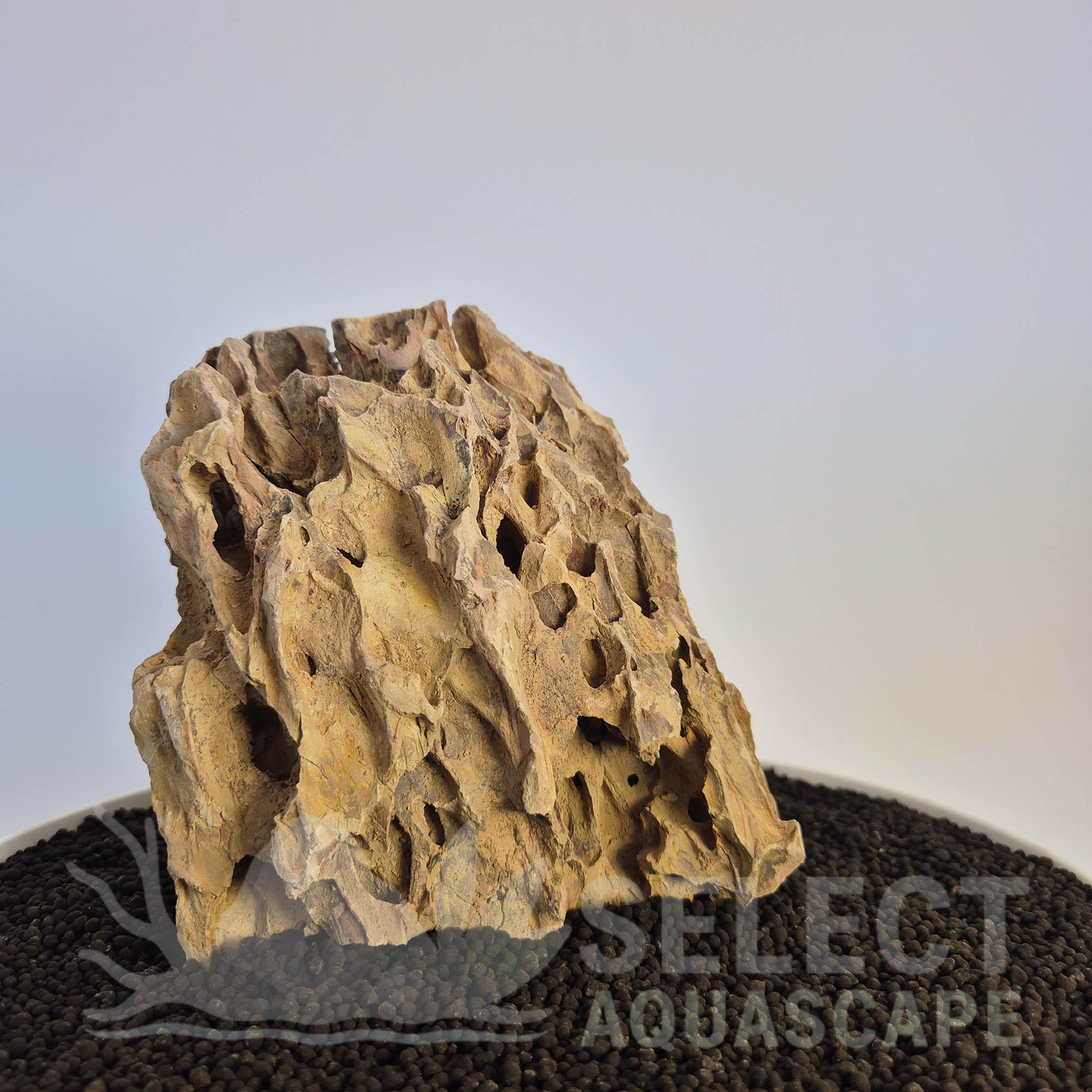 Select Piece of Natural Dragon Stone for Aquascape