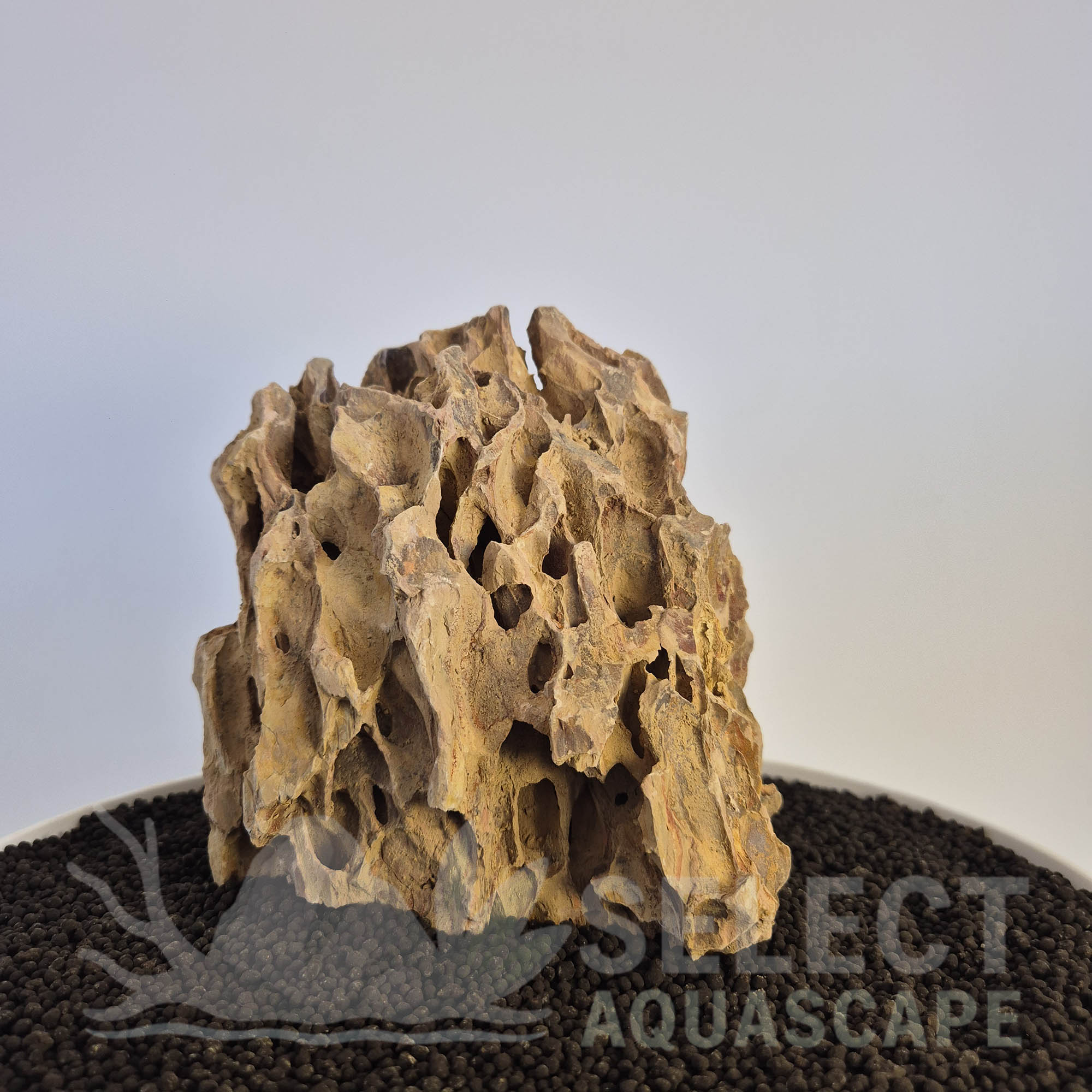 Select Piece of Natural Dragon Stone for Aquascape
