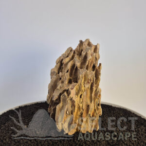 Select Piece of Natural Dragon Stone for Aquascape