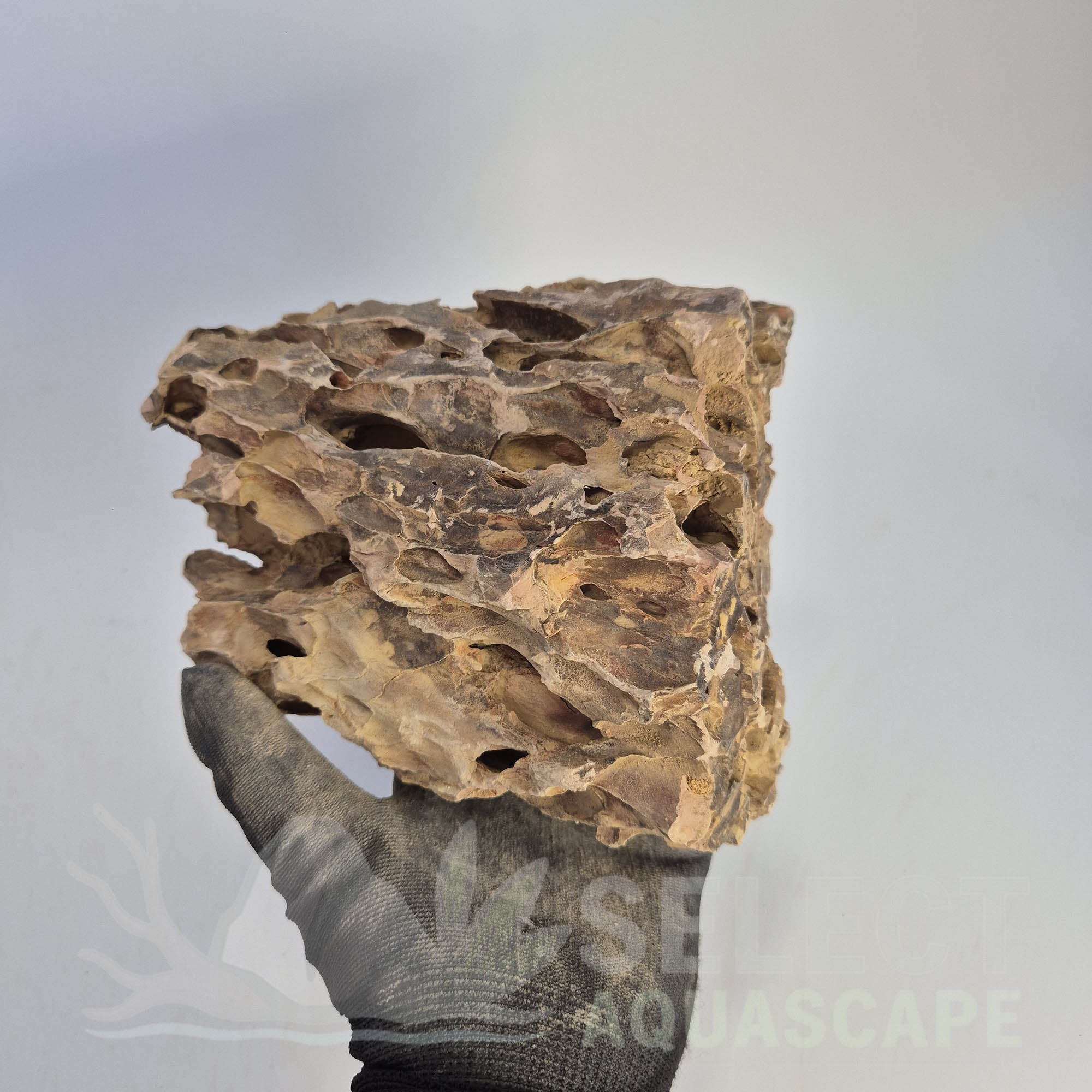 Select Piece of Natural Dragon Stone for Aquascape