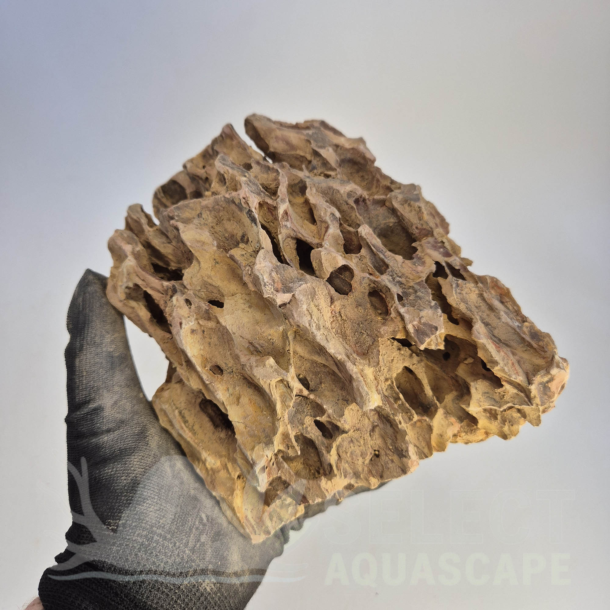 Select Piece of Natural Dragon Stone for Aquascape
